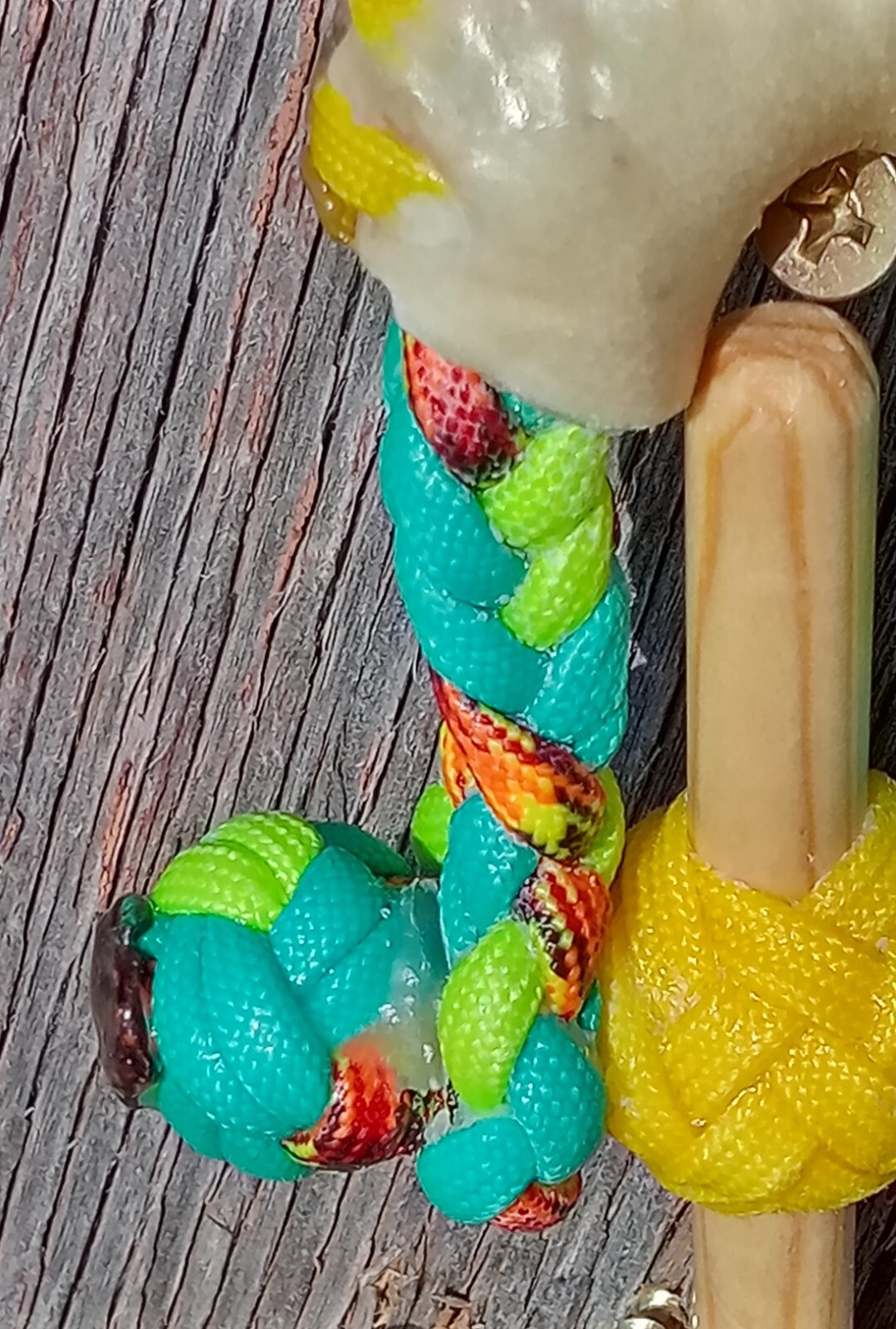 TURQUOISE n BLACK 10 Plait Pryor ParaCord Hondo w/ Bull Rawhide Burner Buckaroo