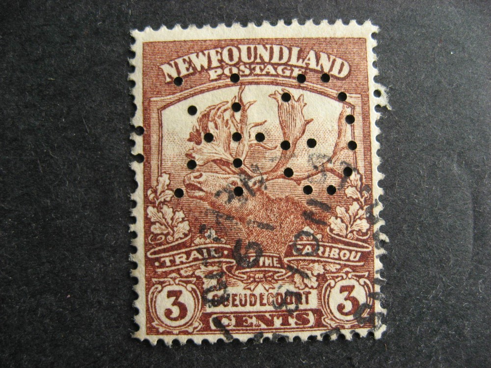 Newfoundland perfin George Knowling Co