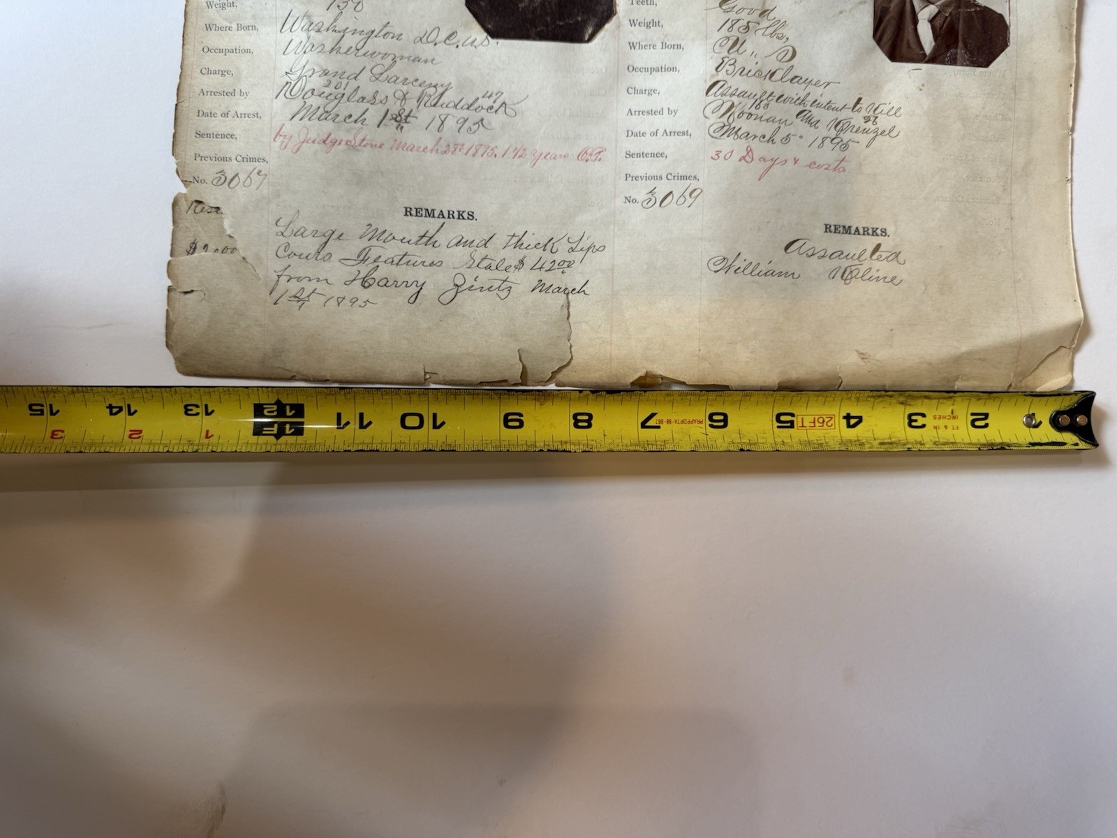 Original 1895 ARREST RECORDS POLICE PHOTO MUG SHOTS THIEVES 19th Century Prison