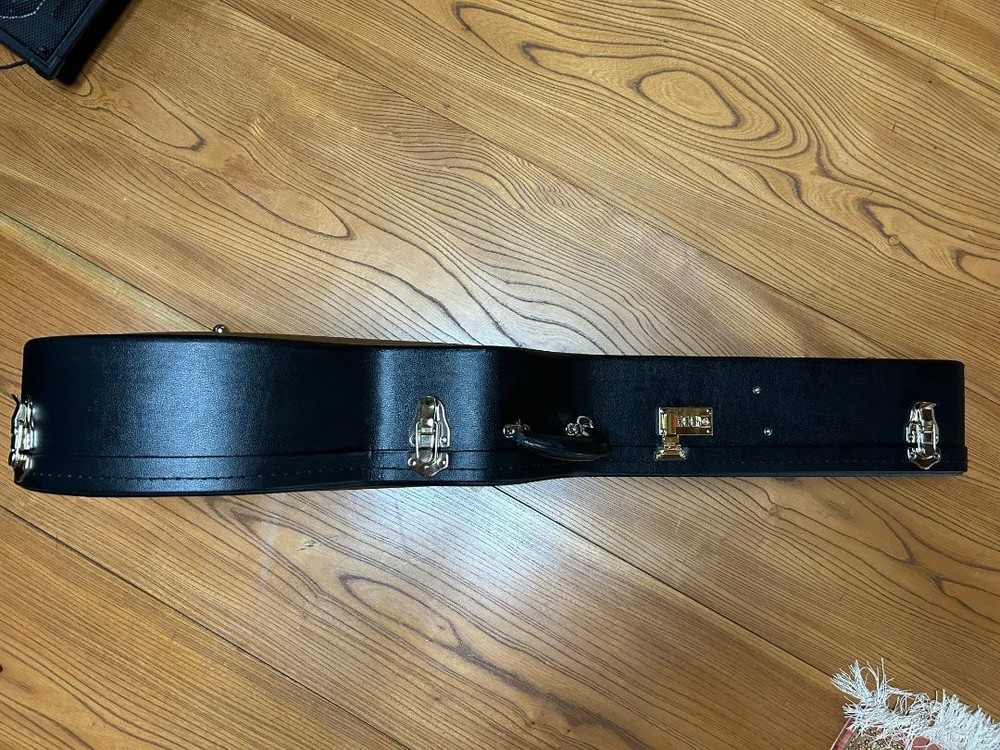 Epiphone ELVIS guitar HC Safe Packing!