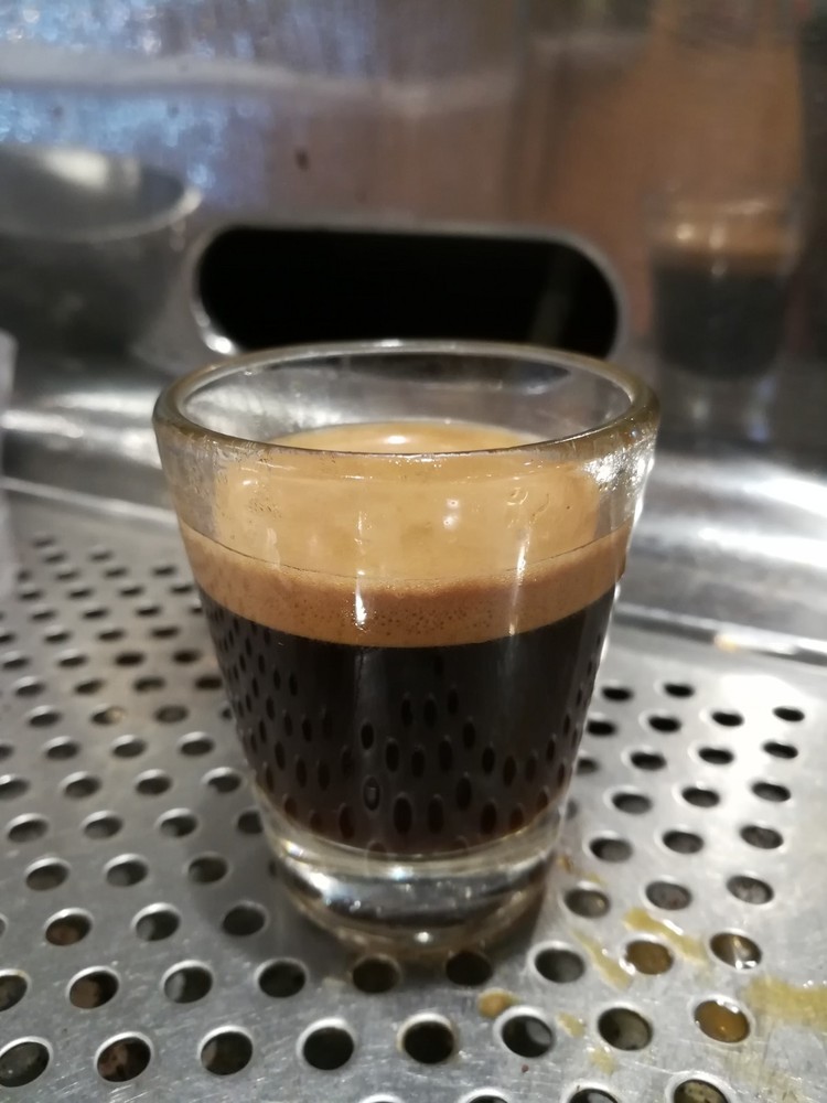 Gaggia Orione 1G-U Manual Espresso Machine -Functioning