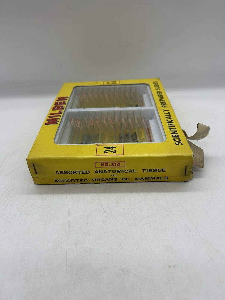 Milben 12 Microscope Slides Set No 810