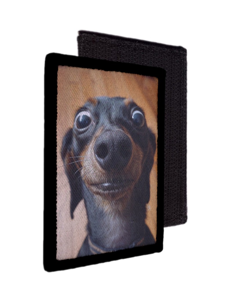 Surprise Face Dog Dachshund Meme Patch Morale Hook [sub]