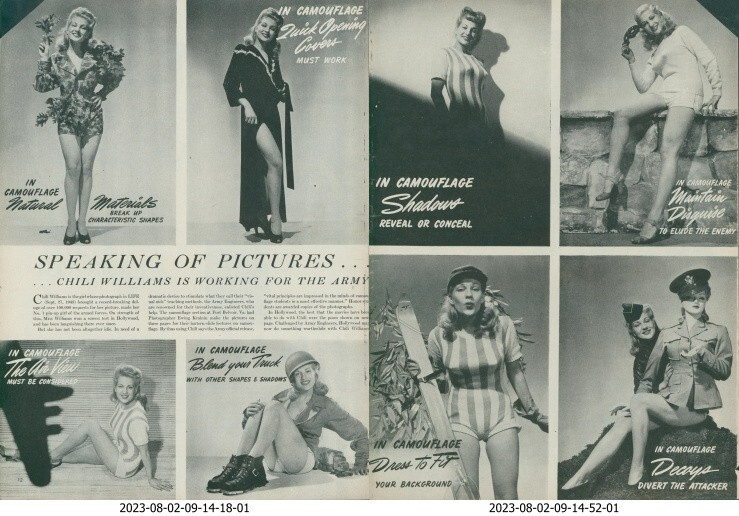 1944 WWII Chili Williams Camouflage Working For Army Pin Up Vtg Print Story L32