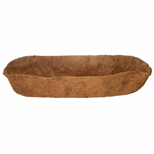 Source Skill Coconut Arts Growers Select Georgian Trough Liner, 30-Inch