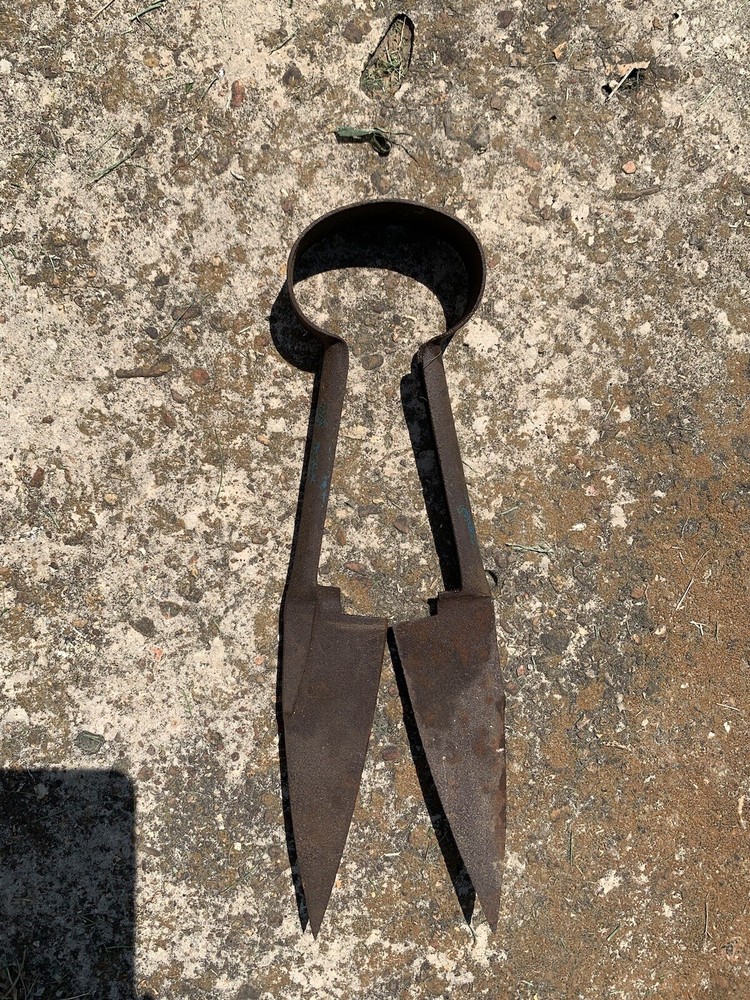 Antique Sheep Shears