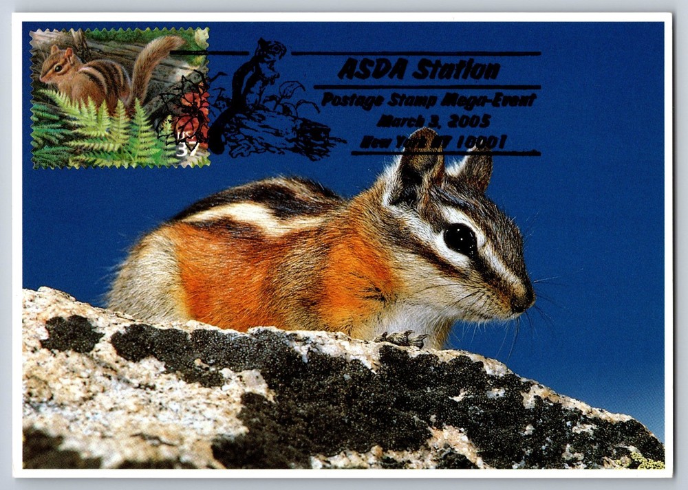 #3899k Northeast Forest Eastern Chipmunk FDC Maxi Card