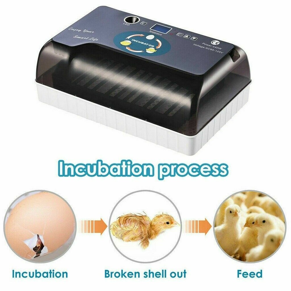 12 Eggs Incubator Automatic Egg Turning Chicken Quail Chick Hatcher Incubators