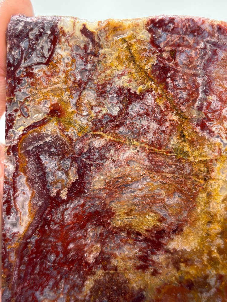 Large Thin Mexican Red Moss Agate Slab Lapidary Cabbing Combo Ship Avail