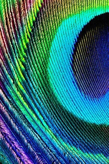 Best Empath / Psychic / Clairvoyant Reading--Accurate Aura/General Reading