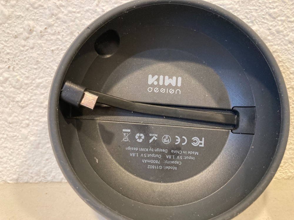 Google Home Mini Smart + Kiwi Battery Base