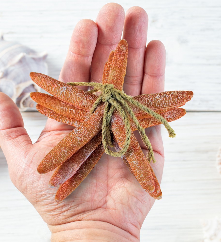 NAUTICAL DÃƒâ€°COR - RESIN ORANGE STARFISH