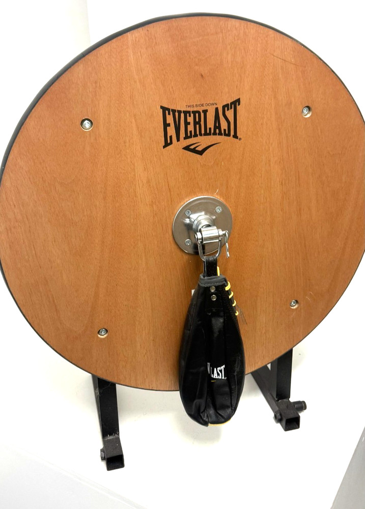 Everlast Boxing Speed Bag Set -