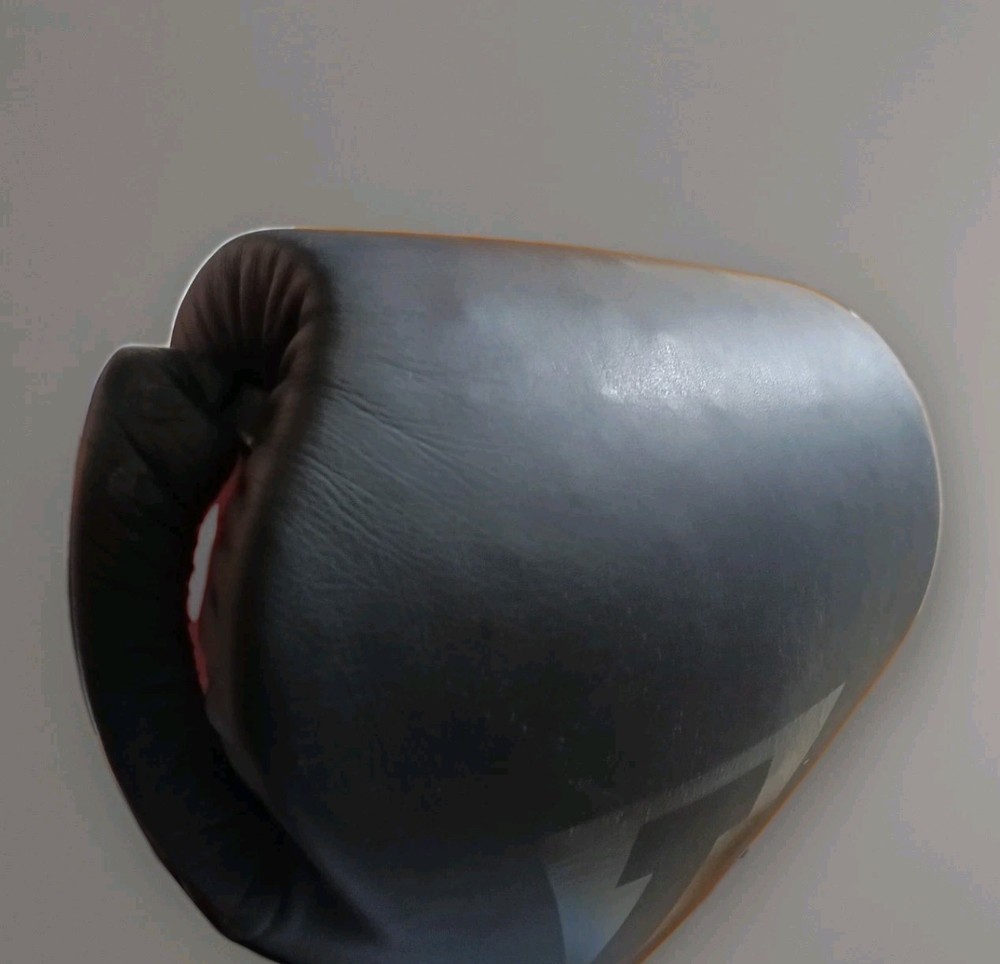 Title Boxing gloves 18 oz sparring