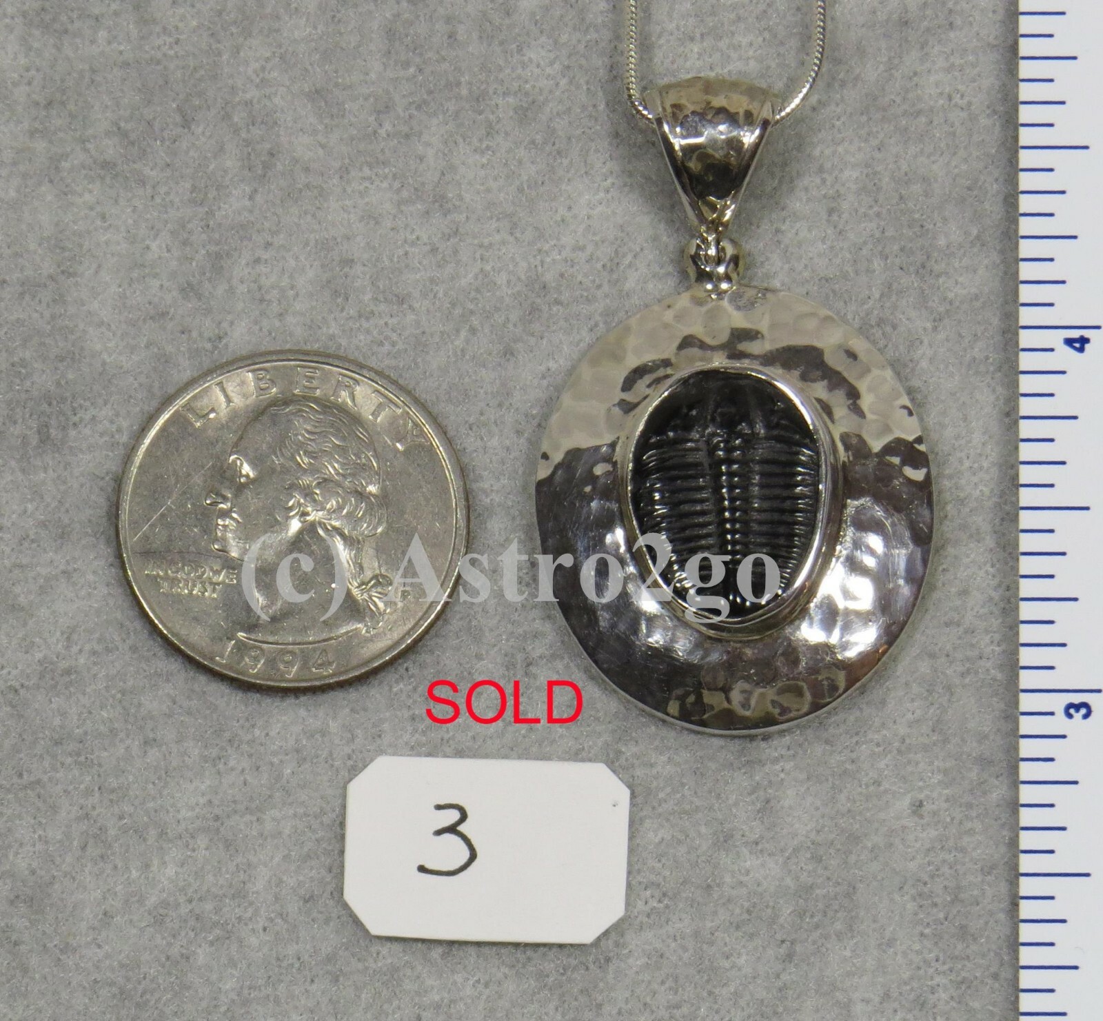 Elrathia Kingii TRILOBITE PENDANT $109 Sterling Silver Jewelry STARBORN CREATION