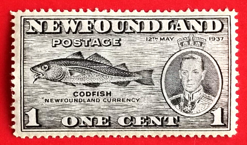 Canada Newfoundland #233 Long Coronation Issue - Codfish MH