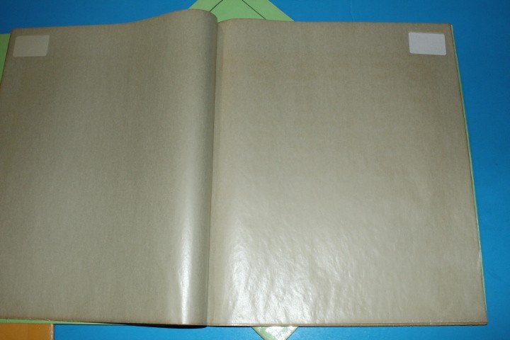 White Ace Mint Sheet File Capacity 14 pgs 1 pocket 12" x 9.75" BlueLakeStamps