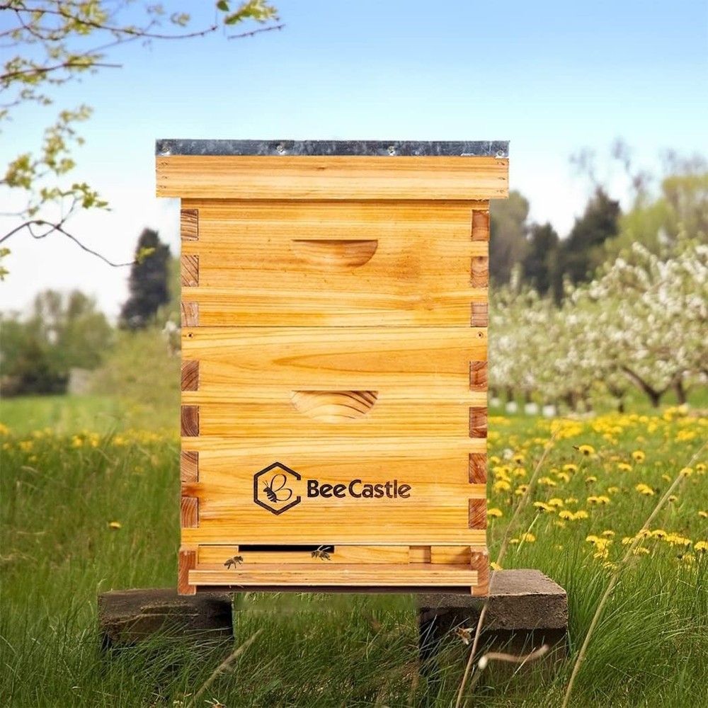 Langstroth Bee Hive with Beeswax Coating, Frames and Waxed Foundations Included