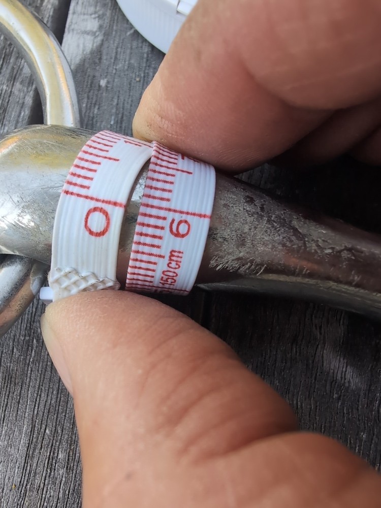 5.25" Loose Ring Snaffle with Lozenge