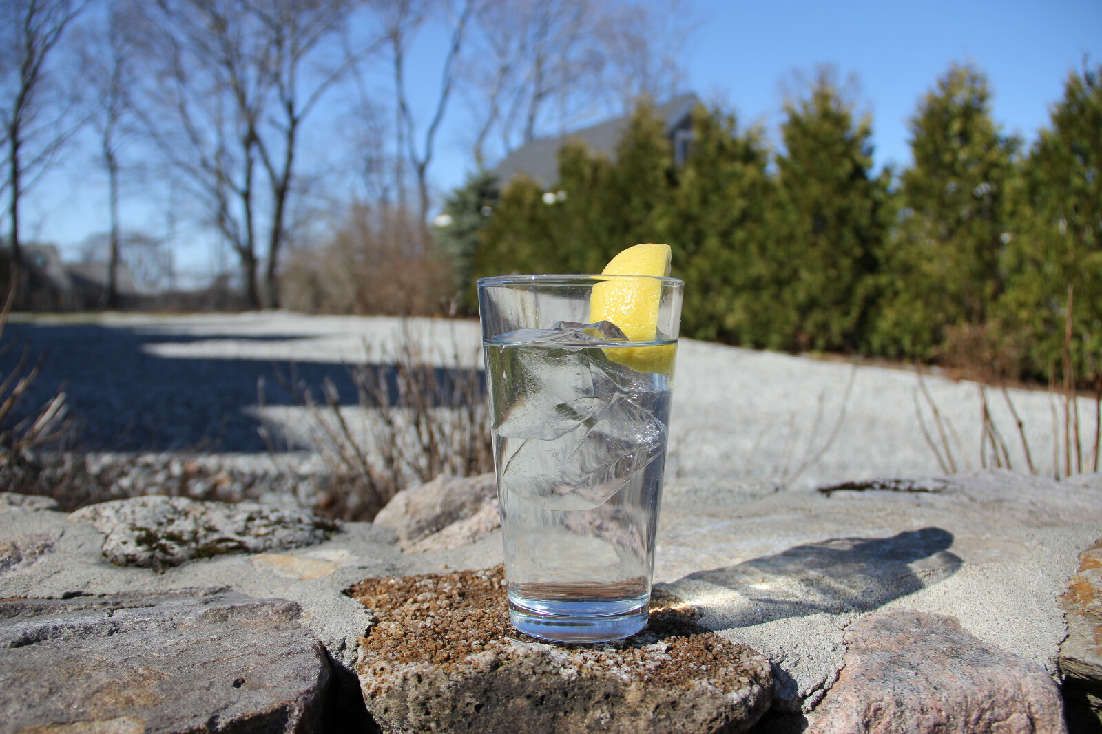 ClearlyFrozen High Capacity (10 x 2 inch) Home Ice Cube Tray/Ice Cube Maker