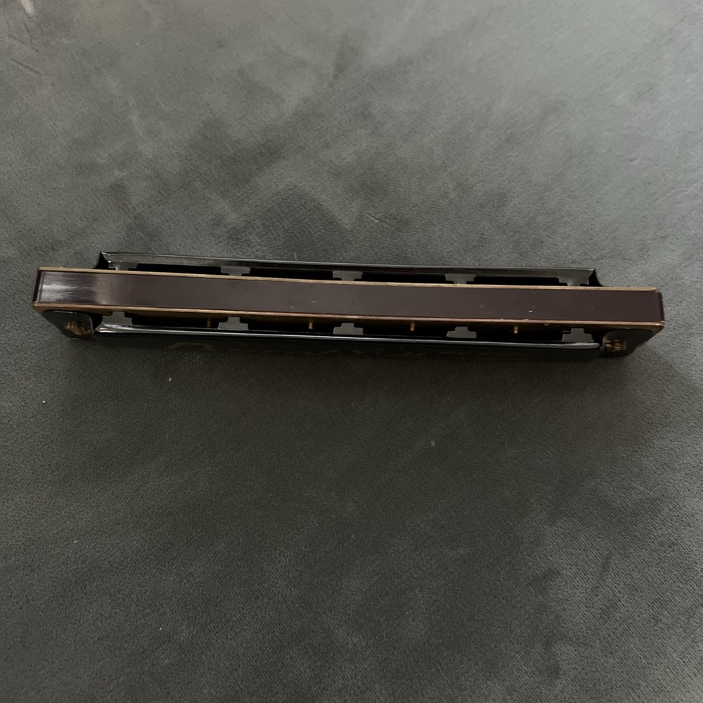 PARROT HARMONICA 40 HOLES