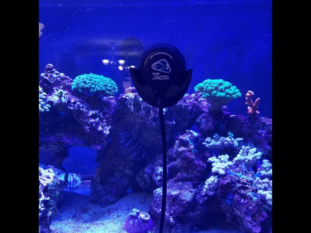 Ecotech Marine Vortech MP10 3D Printed Dry Side Support Mount
