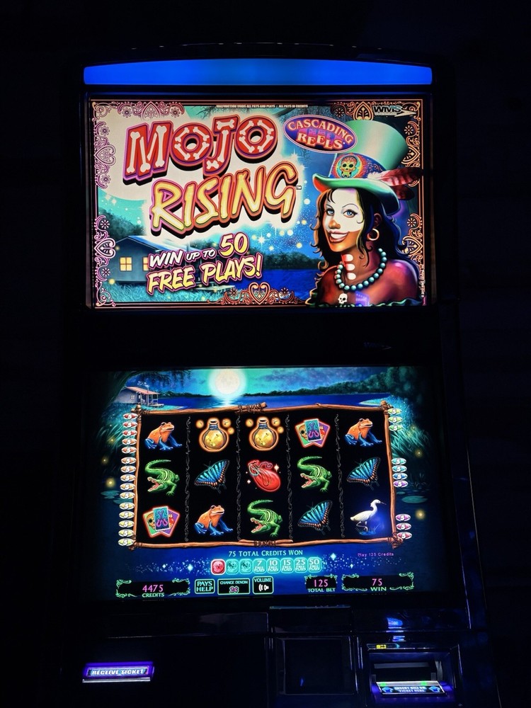 WMS BB2 SLOT MACHINE GAME SOFTWARE ONLY MOJO RISING TESTED BLUEBIRD WILLIAMS