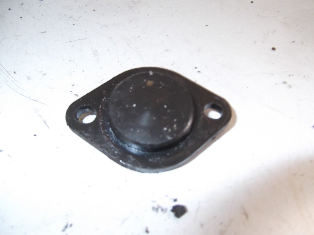 SUZUKI GP100 Gearbox Cover
