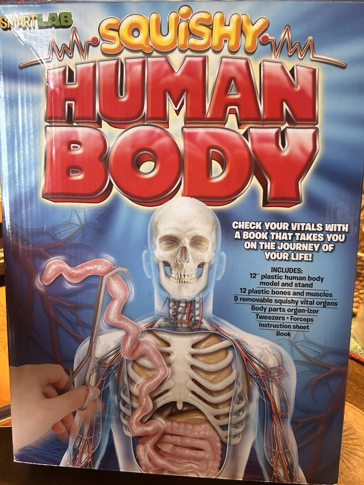 Smart Lab Squishy Human Body