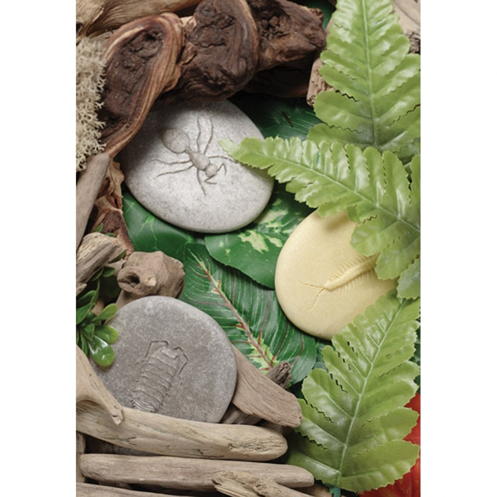 Yellow Door Play & Explore Bugs