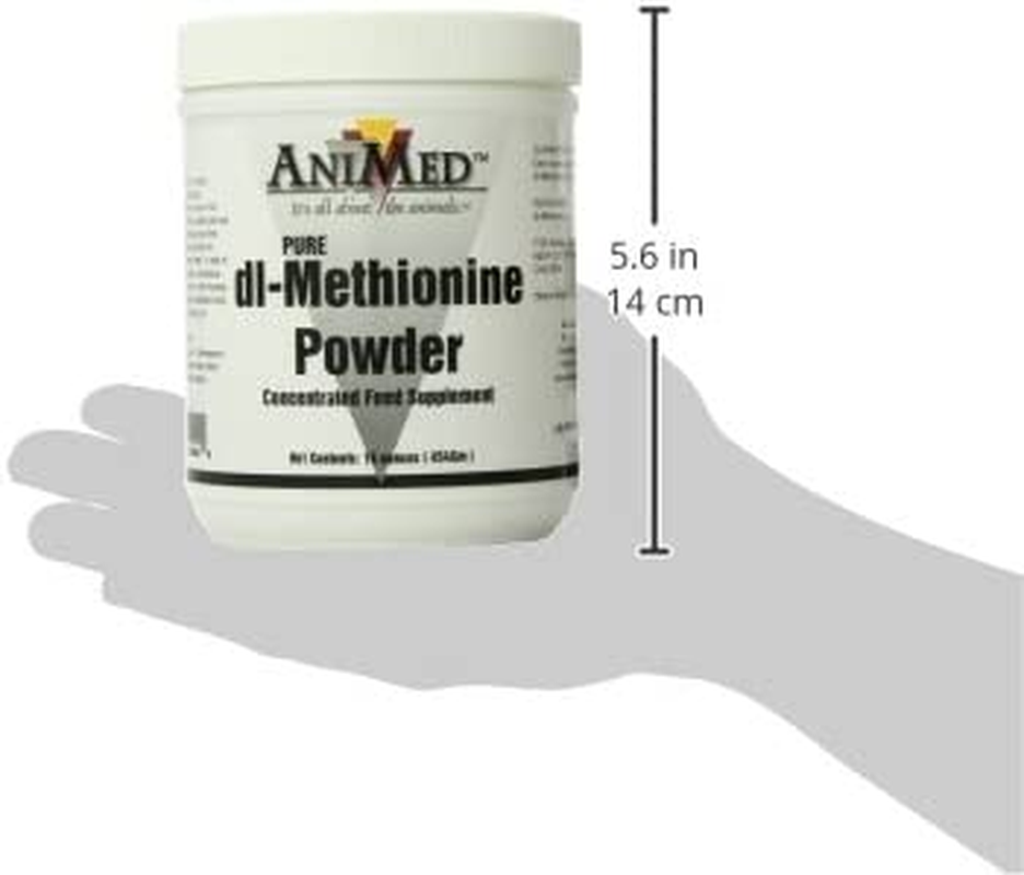 Dl-Methionine Pure for Horses, 16Oz
