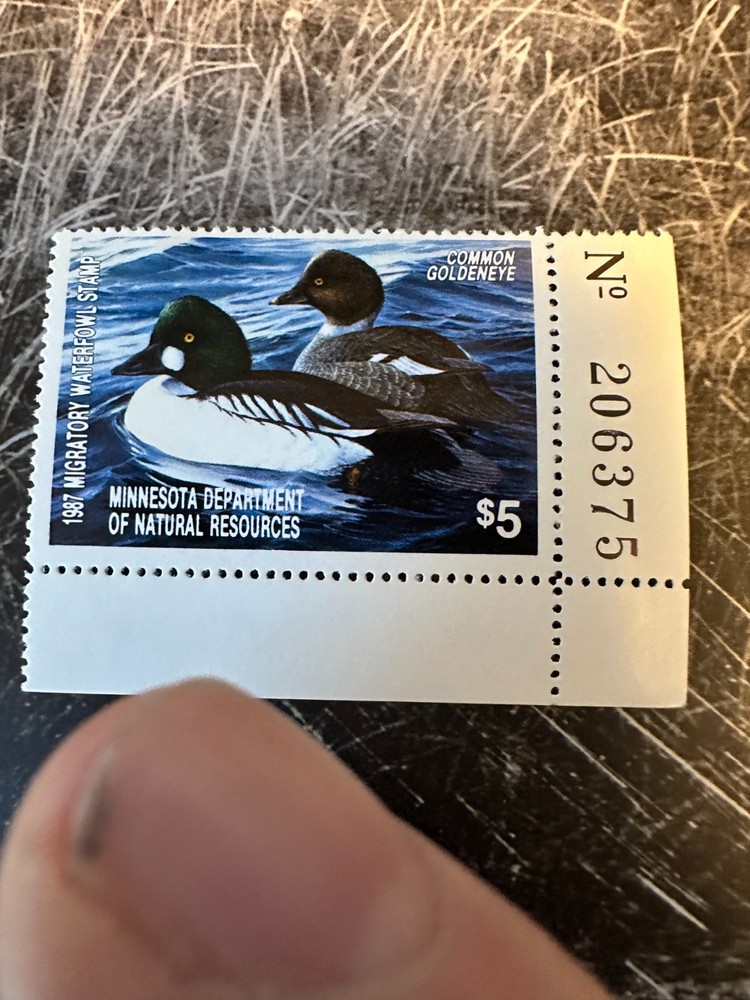 1987 Minnesota State Duck Stamp, B