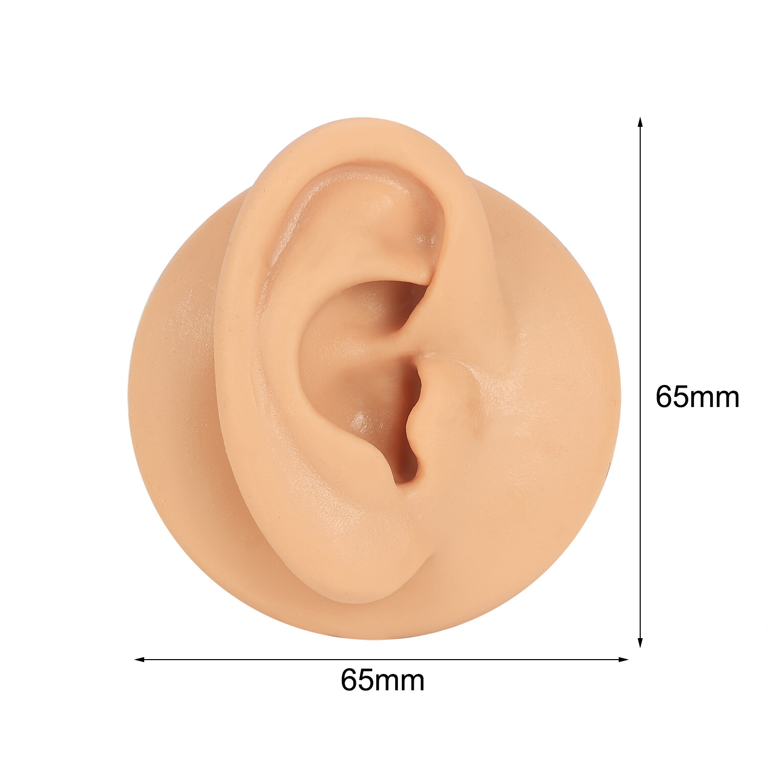 Silicone Ear Model with Acrylic Display Stand Body Parts Practice Piercing Tools