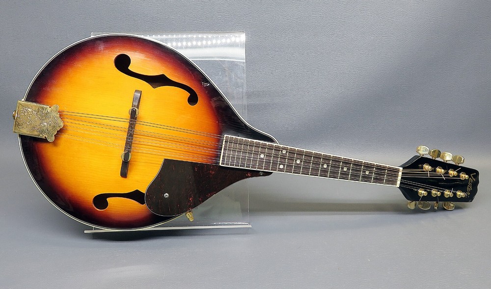 Mandolin Vester