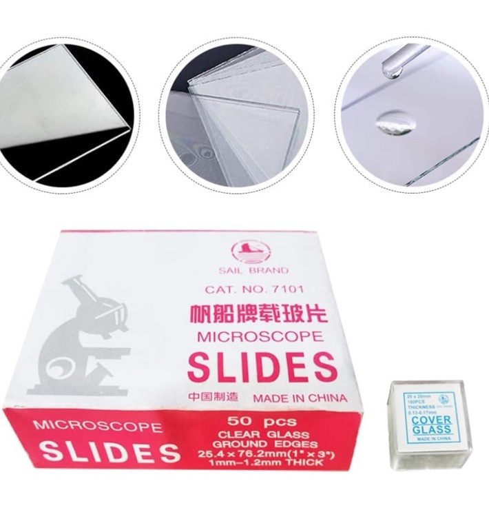 Microscope Slide and Cover Set (50 Ct.)