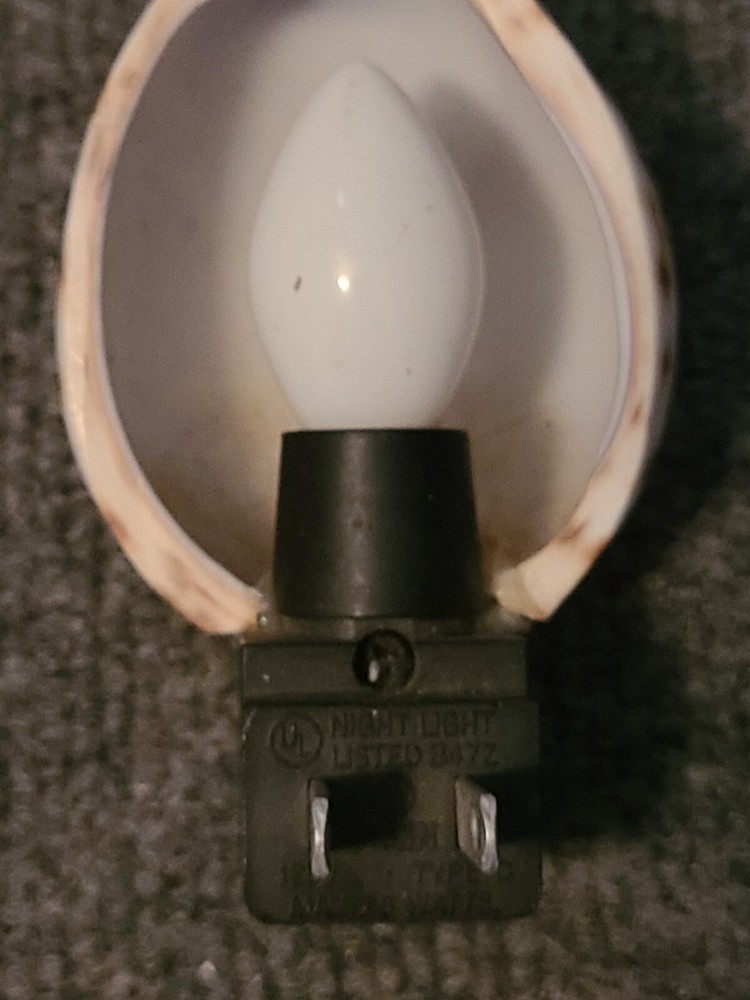 Vintage Seashell Nightlight With Engraved Butterfly