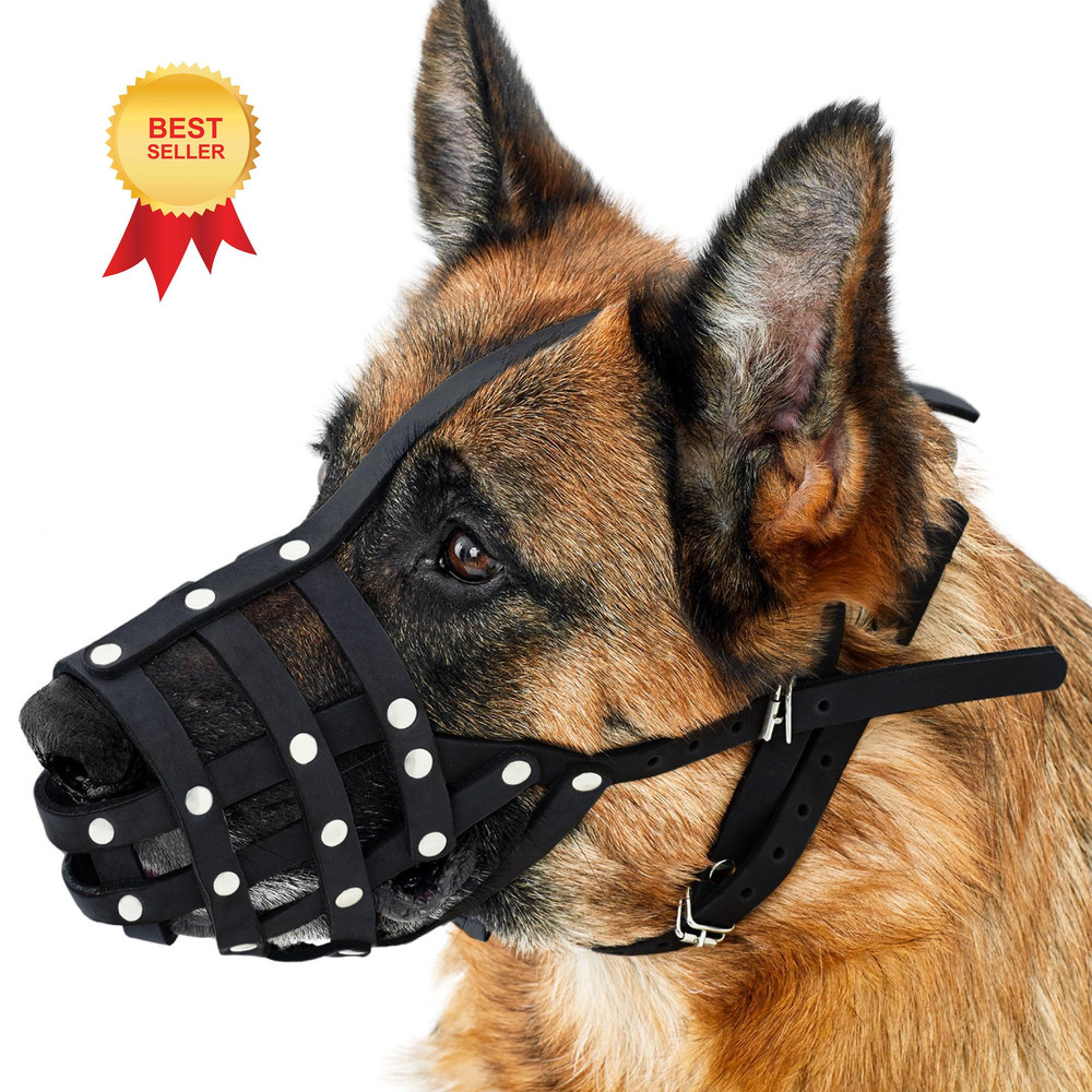 CollarDirect Dog Muzzle German Shepherd Dalmatian Doberman Large, Black