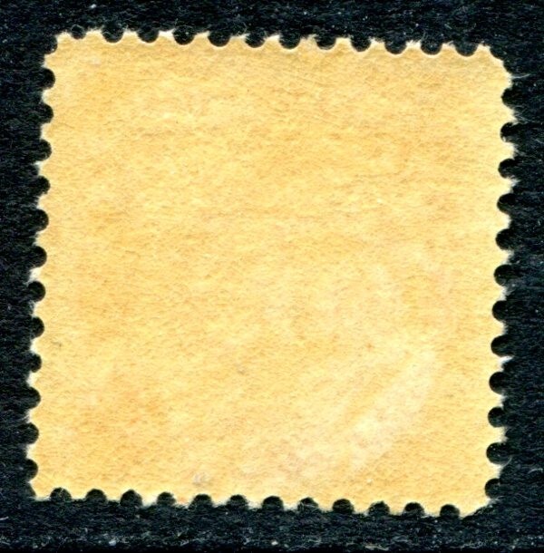 Newfoundland 1896 Unused #57
