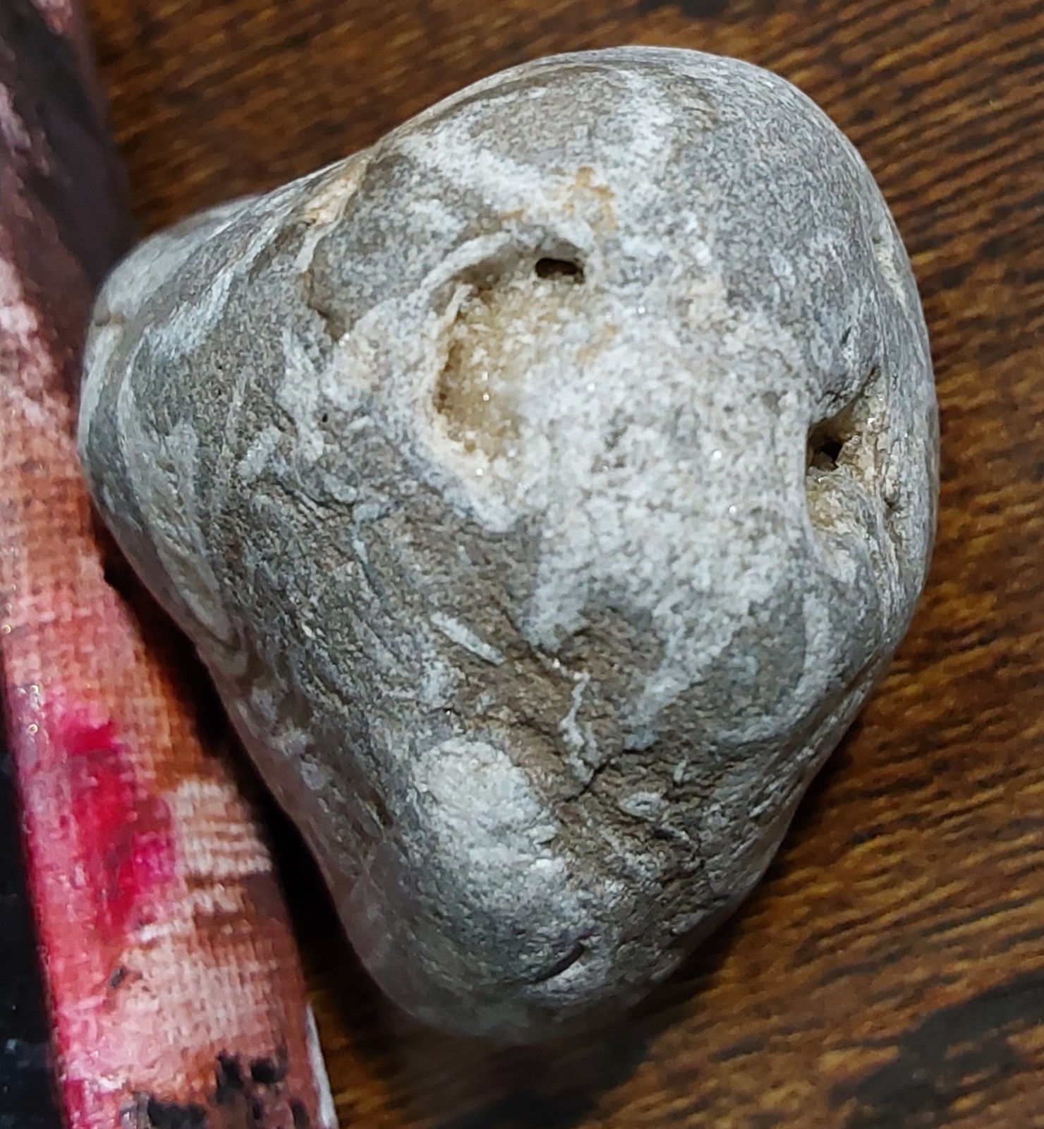 FOSSILS LOT. 5 UNIQUE FOSSILS- Druzy  crystals. LOTS OF PICS