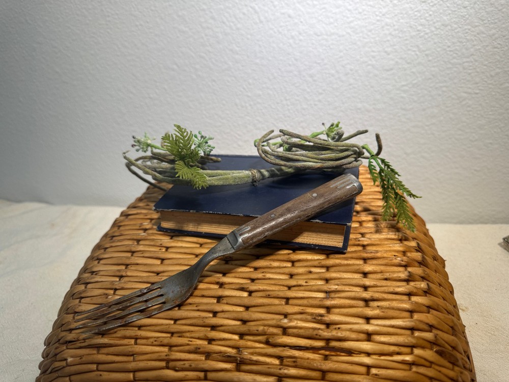 Antique 4 Tine Wood Handle Dinner Fork