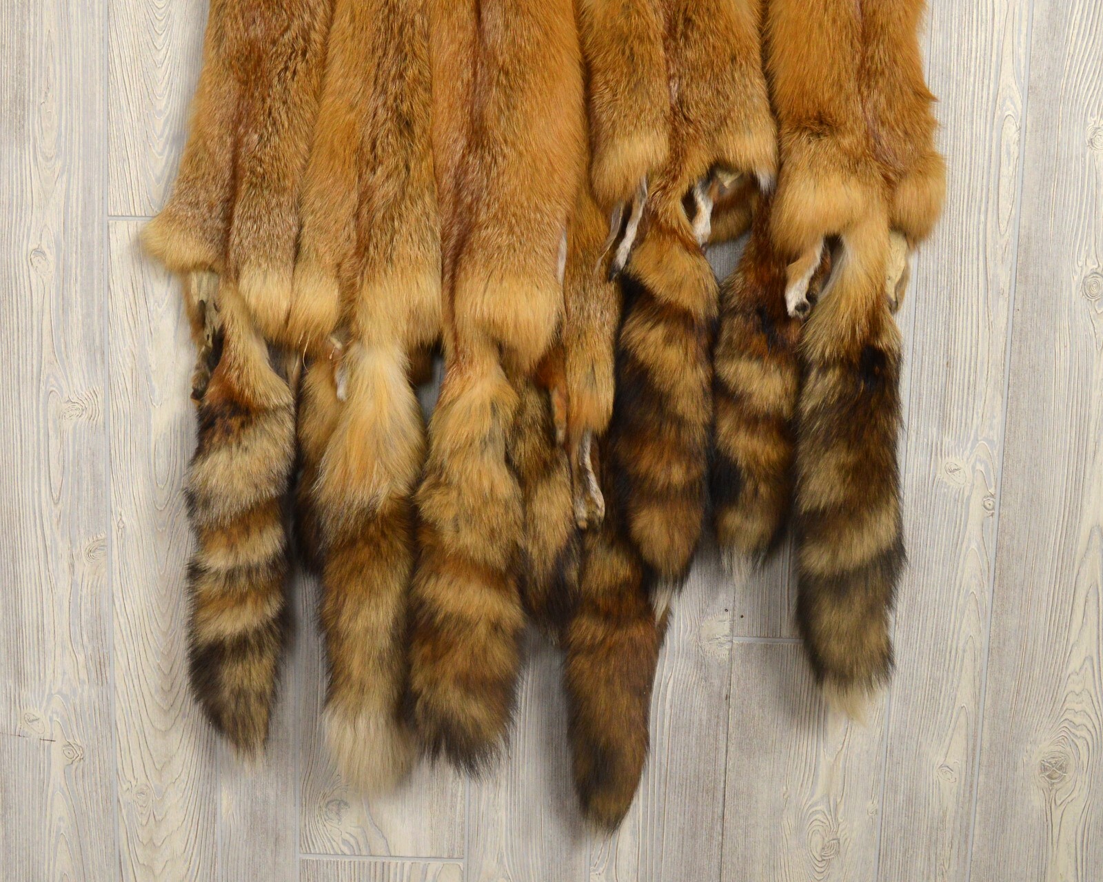 Tanned Red Fox Winter “Heavy Fur” Western Extra Large Premo (rfwhpremo)