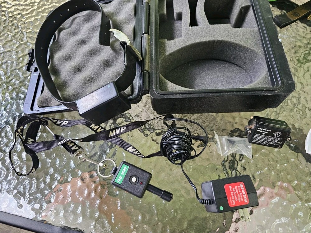 Innotek Free Spirit Dog Basic Remote Trainer FS-50A Receiver Controller w/ Case