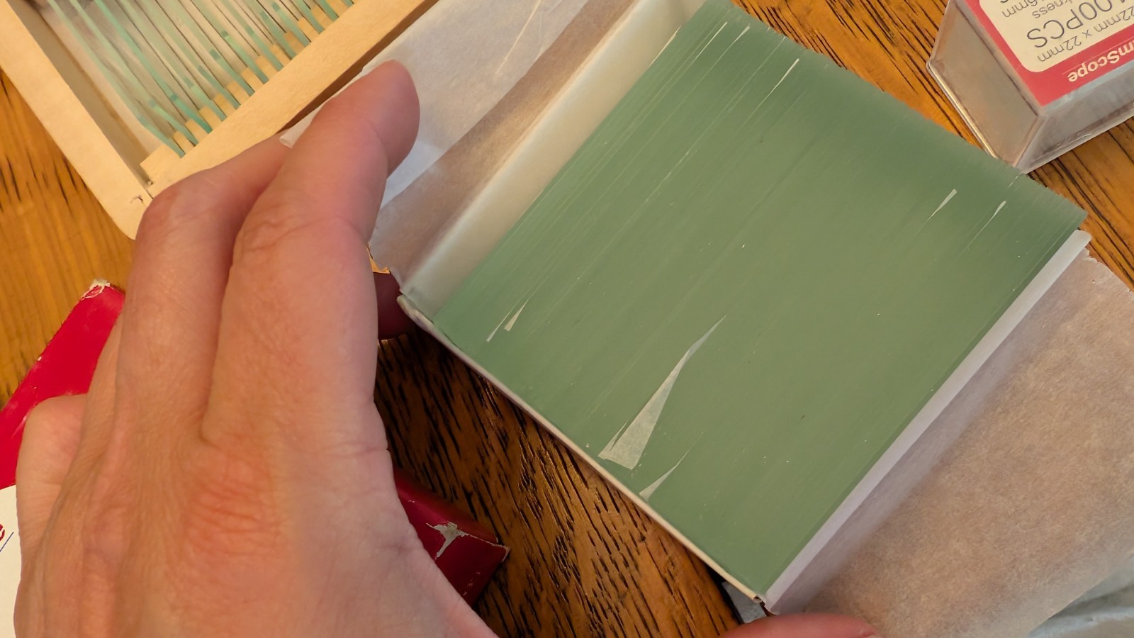 AmScope PS50A 50 Biology Pathology Prepared Microscope Slides Set slides and cov