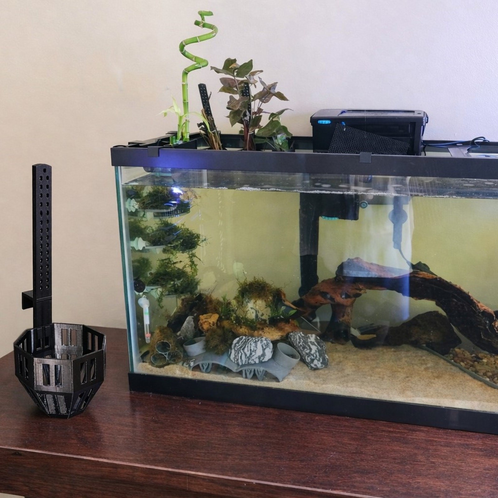 Aquarium Plant Holder with Stem Trellis for Live Plants | Over-The-Rim Planter