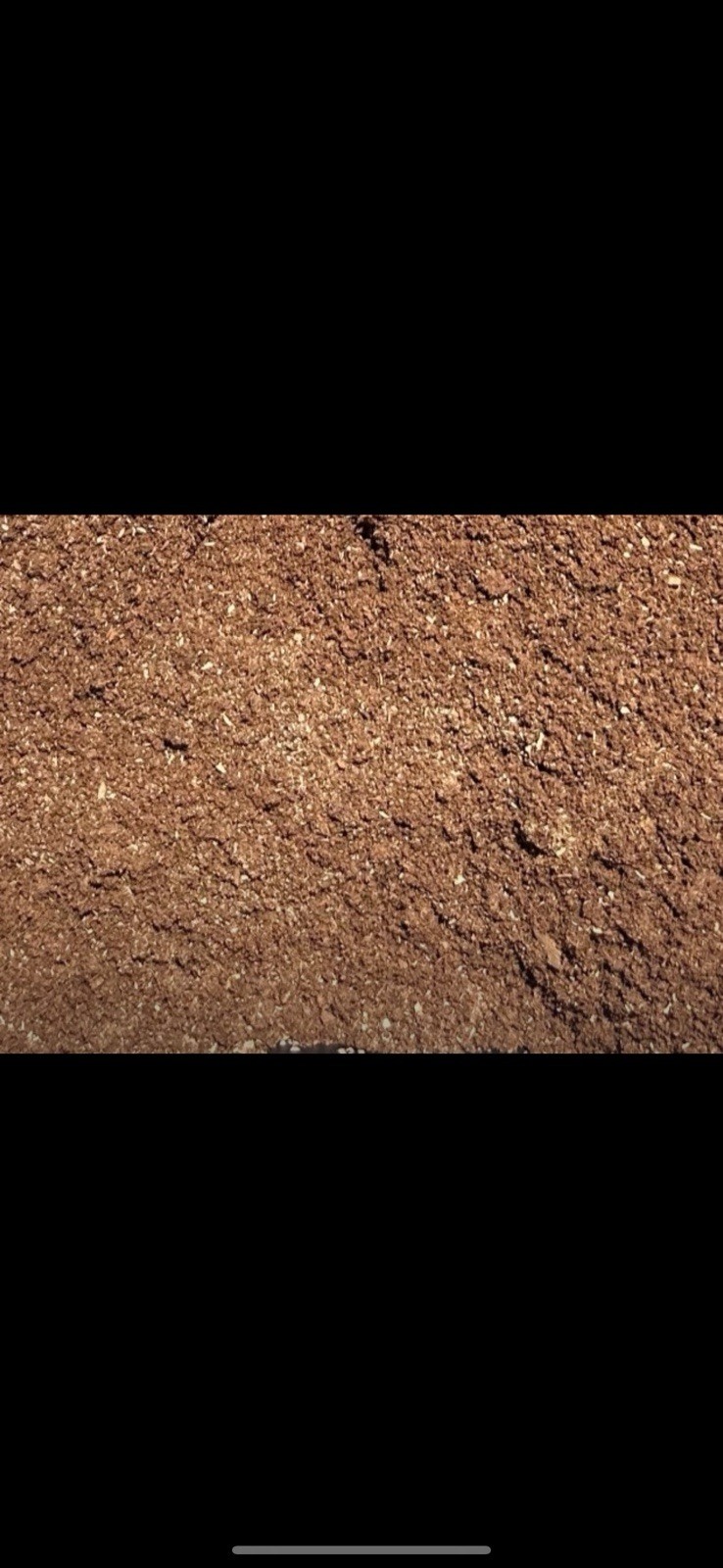 OAK STAG GRADE FLAKE SOIL WITH ADDITIVES PROTEIN DORCUS LAMPRIMA 1 GALLON