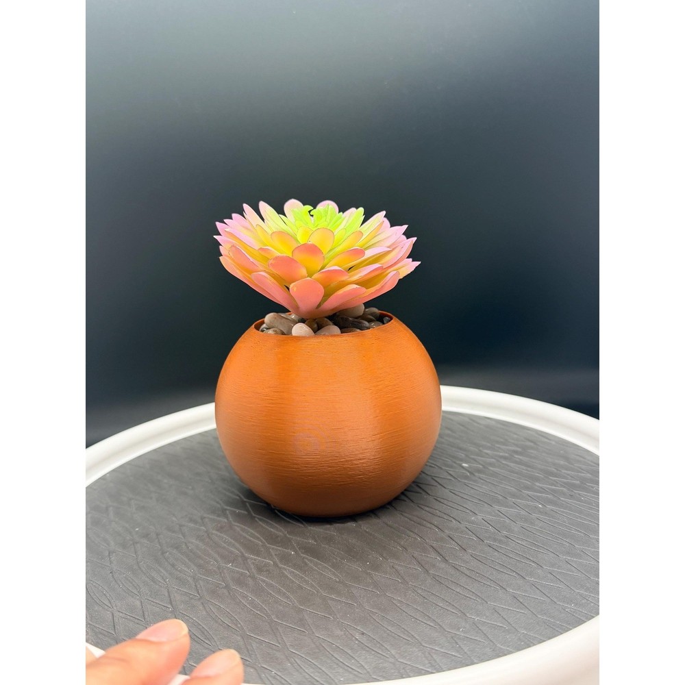 Baby Milo Planter