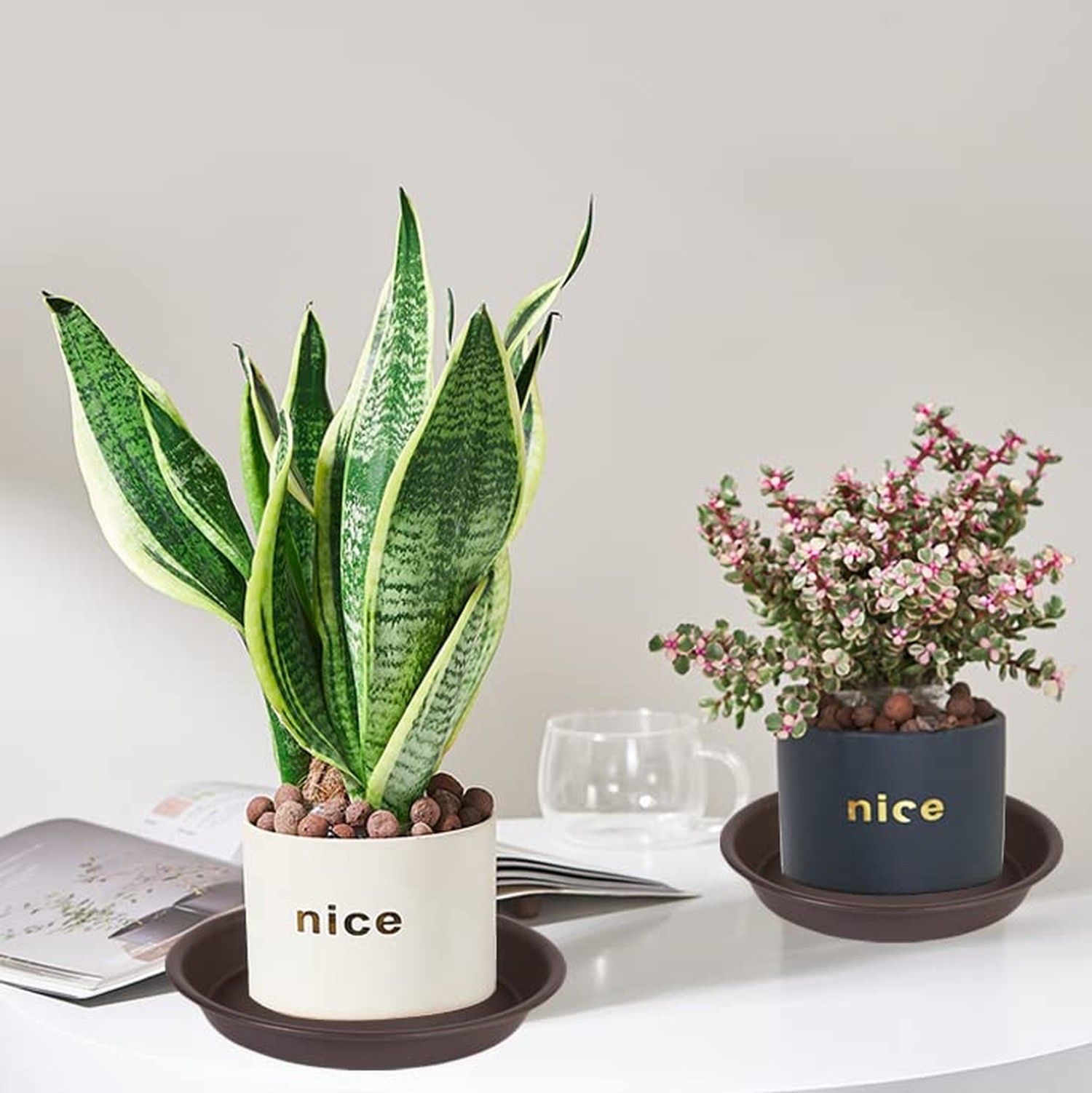 6 Pack Plant Saucer Tray 6“, 4 6 8 10 12 14 16 18 inch Saucers, Heavy Duty