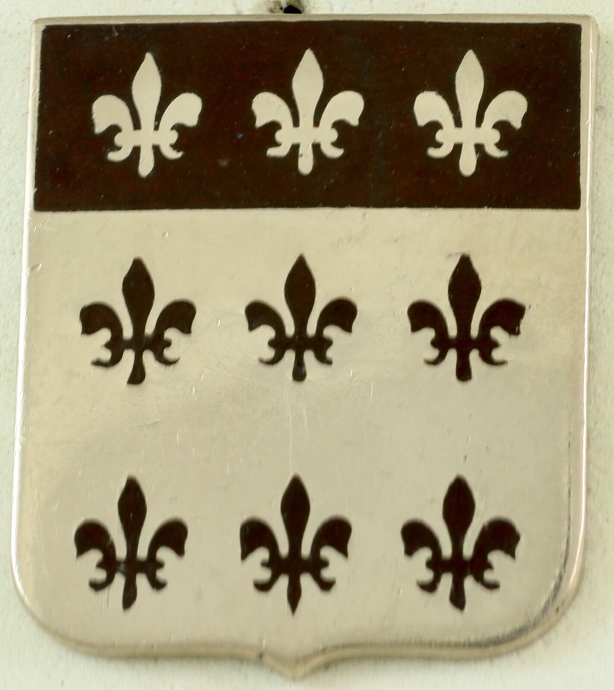 307th Medical Battalion Crest DI/DUI CB (opaque)