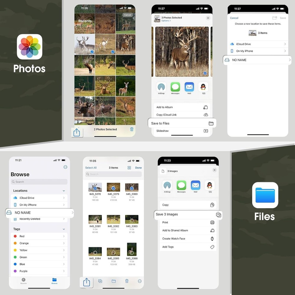 Versatile Trail Camera Viewer for iPhone & Android: Efficient Game Analysis