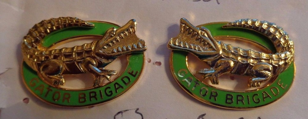 CREST,DI , 53RD INFANTRY BRIGADE COMBAT TEAM, FACING PAIR